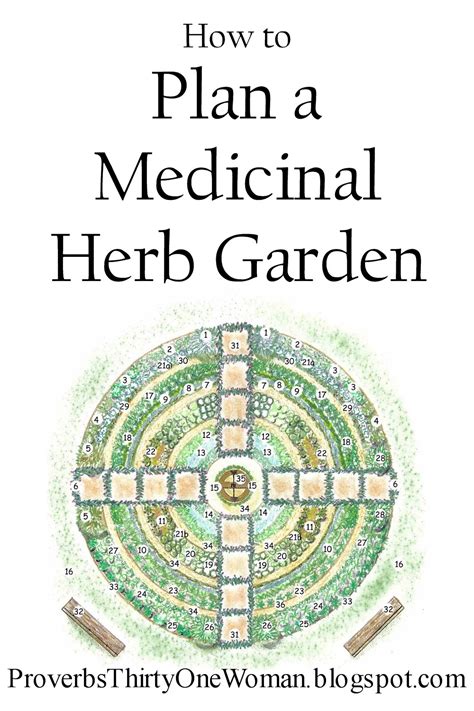 How to Plan a Medicinal Herb Garden - Proverbs 31 Homestead