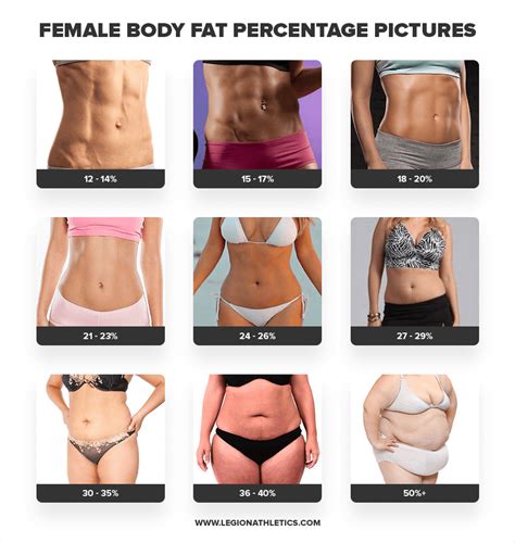 How to Calculate Your Body Fat Percentage Easily & Accurately (With a Calculator) - Sherita Olsen