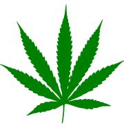 Legal Marijuana Now Party - Wikipedia