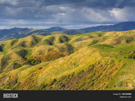 Green Hills Landscape Image & Photo (Free Trial) | Bigstock