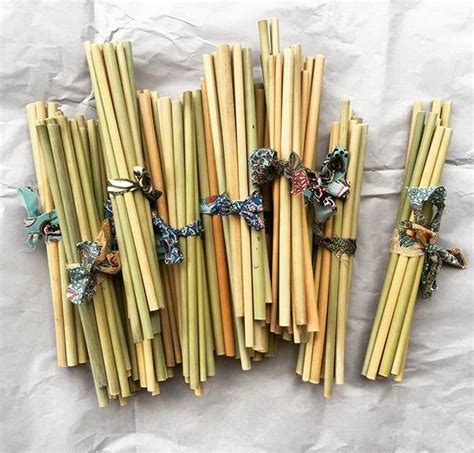 Why switch to bamboo straws? – Sustainable Style