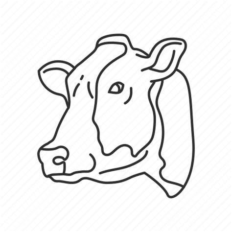 Cow Head Drawing Png : Hb (#2) pencil, 4b pencil eraser drawing paper ...