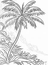 Palm Tree Coloring Pages Tropical Paradise With Your Colors 🎨🌴  sketch template