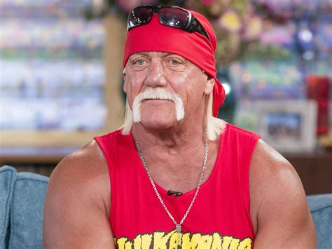 Hulk Hogan Says He Pitched An Idea To Turn Heel At WrestleMania 6, More ...