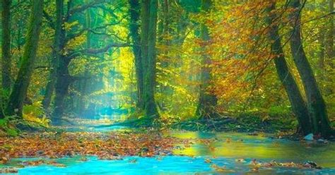 Magic light in the Spessart Mountains of Bavaria, Germany | Backyards Click