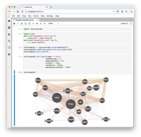 Interactive Graph Visualization in Jupyter with ipycytoscape | by ...