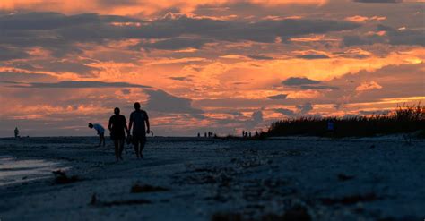 Silhouette of People Walking at the Beach during Sunset · Free Stock Photo