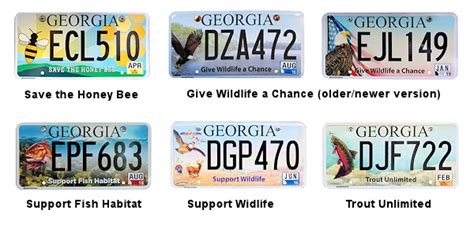 License Plates of Georgia