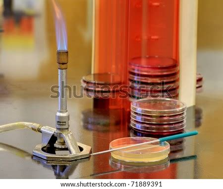 Equipment In A Microbiology Lab. Stock Photo 71889391 : Shutterstock