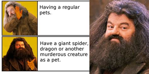 Harry Potter: 10 Memes That Perfectly Sum Up Hagrid As A Character