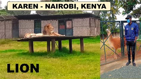 Stedmark Gardens Animal Park, Karen, Nairobi, Kenya, Africa. a hidden gem in Nairobi 2021 kws ...