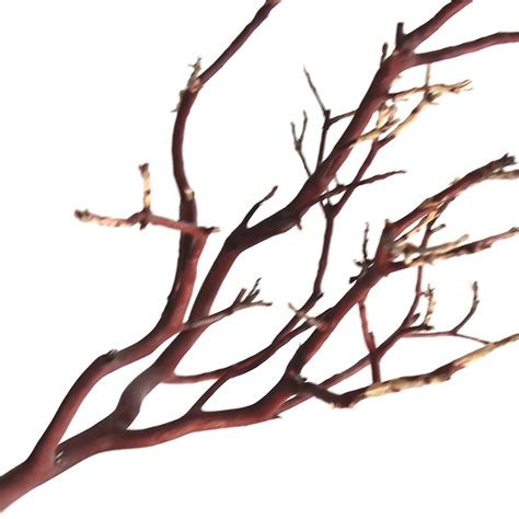 Manzanita Branches From Real Manzanita Natural Branch - Etsy