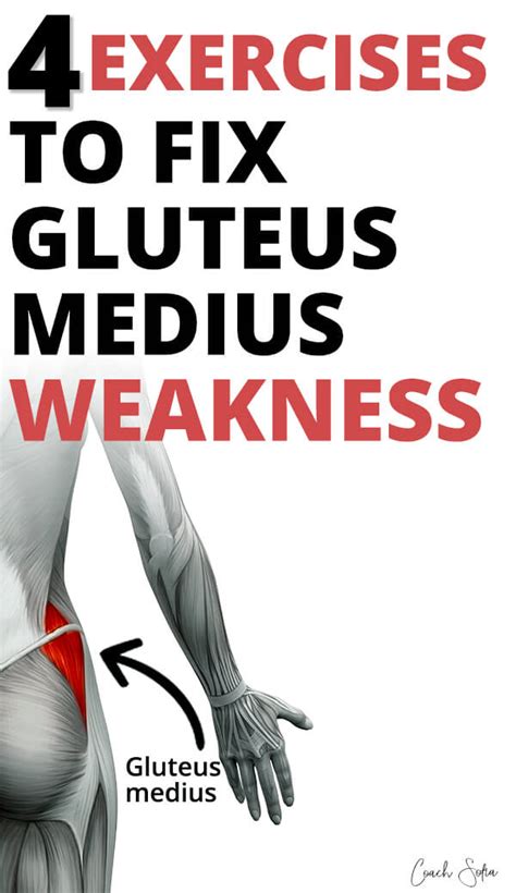 11 Powerful Gluteus Medius Exercises For Strengthening & Activation ...