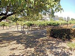 Category:Kendall-Jackson Winery - Wikimedia Commons