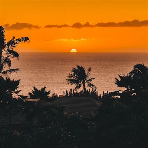 The Birdcage Bar At Hotel Wailea - Wailea, Maui, HI - Maui Happy Hours