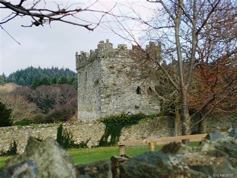 Ireland In Ruins: Kiltimon Castle Co Wicklow