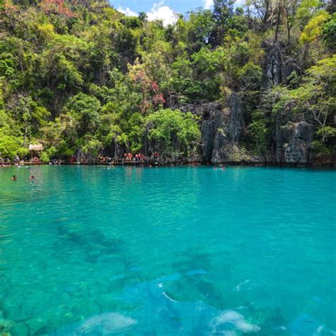 Barracuda Lake – Coron, Philippines - Atlas Obscura