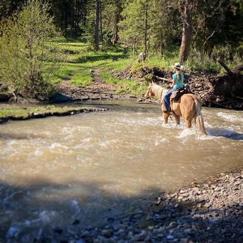 Amber Marshall riding her horse | Amber marshall, Horses, Riding