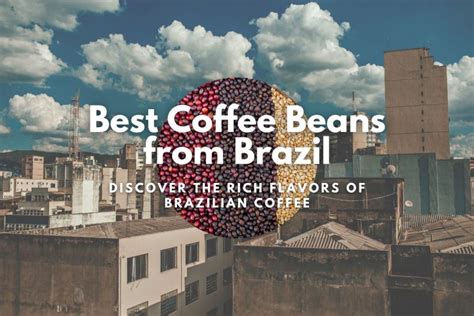 Best Coffee Beans from Brazil: Discover the Rich Flavors of Brazilian ...