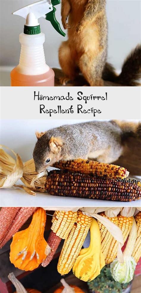 Homemade Squirrel Repellent Recipe - Decor Dıy in 2020 | Recycled ...