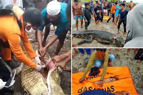 Horrifying moment woman's body is cut out of crocodile's stomach ...