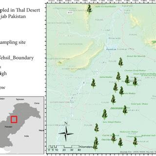 Map of study area: Thal Desert. | Download Scientific Diagram