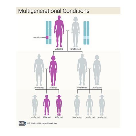 What does it mean if a disorder seems to run in my family?: MedlinePlus ...