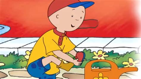 Caillou's Wet Feet | Caillou Cartoon - YouTube