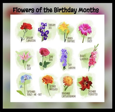 Birthday month flowers 💐 | Birthday month flowers, Beautiful flower tattoos, Birth month flowers