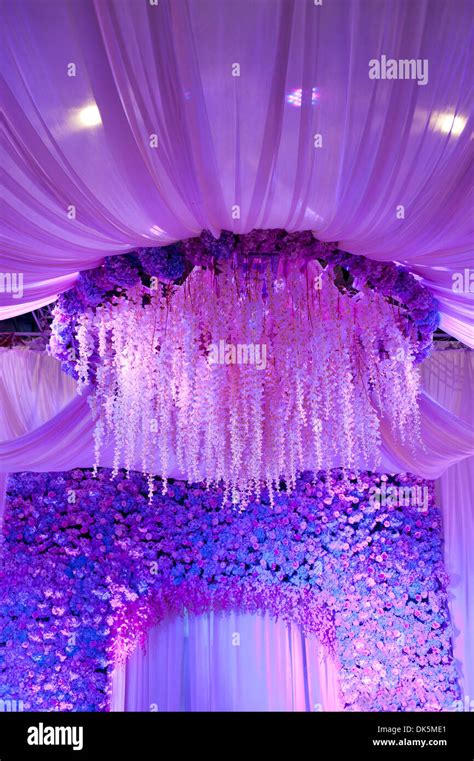 Details 200 flower stage background - Abzlocal.mx