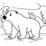 Polar Bear Playing In The Snow Coloring Page 38683 30599 sketch template