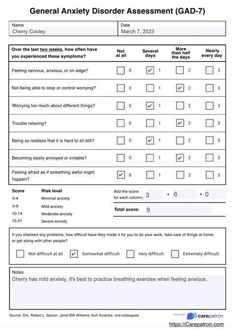 General Anxiety Disorder-7 (GAD-7) Assessment & Example | Free PDF Download