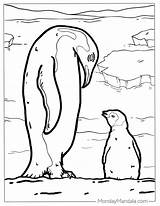 Emperor Penguin Coloring Page Free Printable Pages sketch template