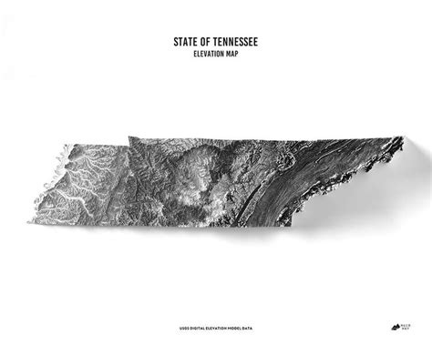 Tennessee Elevation Map in 2022 | Elevation map, Map, Relief map