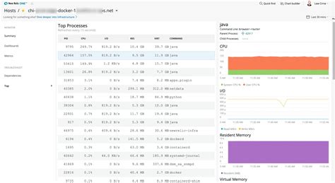 The Most Popular New Relic One Applications (Roundup #1) | New Relic