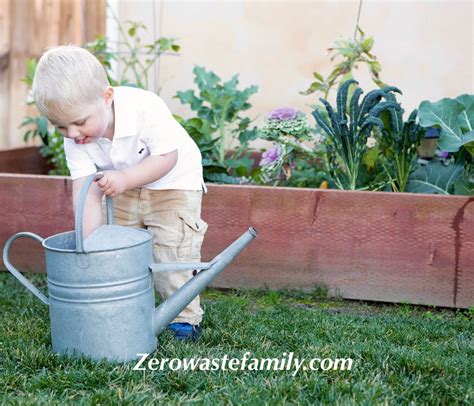 Water Saving Tips for the Garden - The Zero Waste Family®