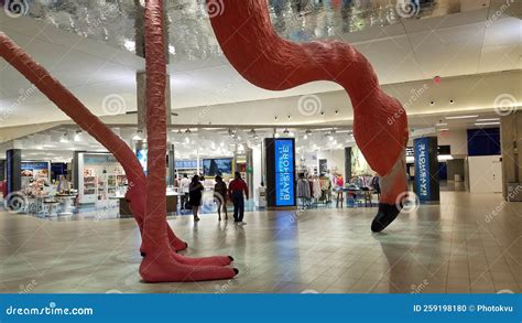 Flamingo Tampa Airport Stock Photos - Free & Royalty-Free Stock Photos ...