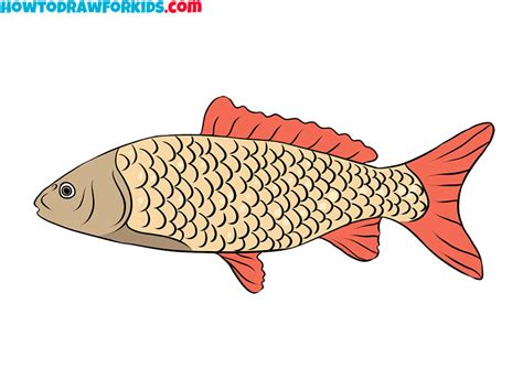 How to Draw a Realistic Fish - Easy Drawing Tutorial For Kids