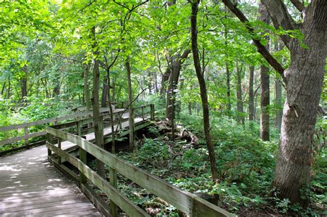 Frolicking in the Fontenelle Forest | Our Next Adventure