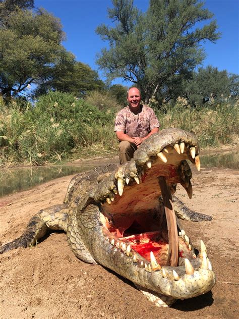 Crocodile & Plainsgame End Of Season Hunt Special Zimbabwe 2019 ...