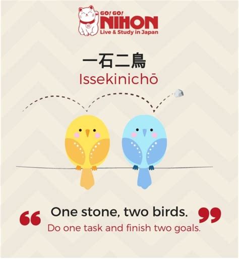 Understanding Japanese proverbs: Two birds with one stone