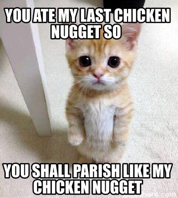 34 Funny Pictures For The Biggest Chicken Nugget Fan | Cat birthday ...