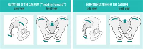 Too many asymmetrical poses can create sacroiliac joint issues