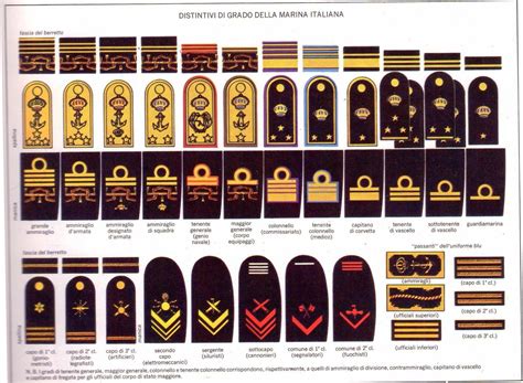 Distintivi e gradi della Regia Marina. Military Ranks, Military Insignia, Military Police, Navy ...