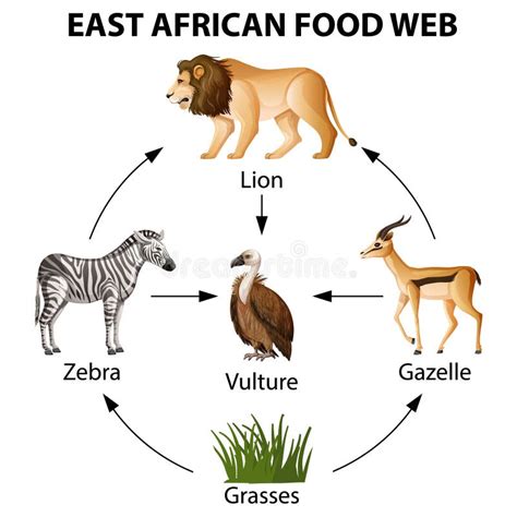 lion king food web Lion king food web