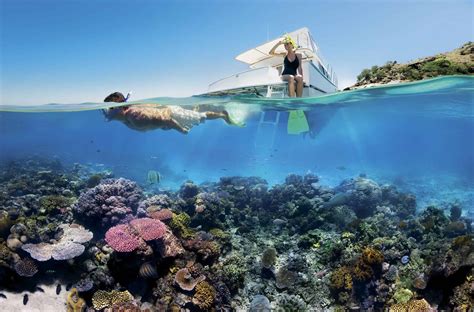 Coral reefs generate $36 billion in tourism every year but we offer little in return