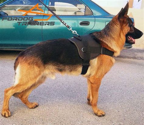 Get Lightweight German Shepherd Harness: H10| Best Nylon Harnesses