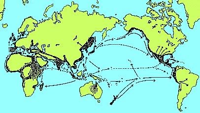 The Culture Of The World: cultural diffusion