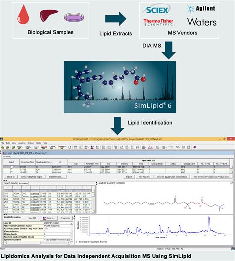 Data Independent Acquisition (DIA) MS Methods For Lipid Identification