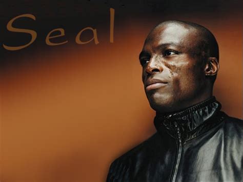 Seal wallpaper - Seal Wallpaper (5348485) - Fanpop